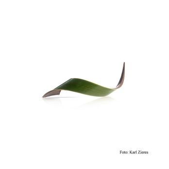 Deko-Aufleger Twist Green, grüner Überzug, dunkle Schokolade, 20x80mm, 130 g, 80 St