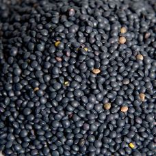 Linsen, schwarz - Beluga, 1 kg