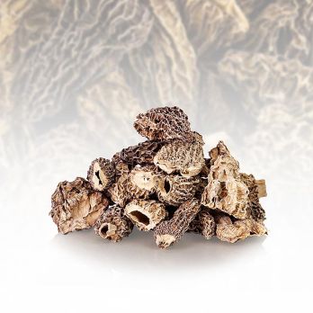 Spitzmorchel-Köpfe, Jumbo, getrocknet, 400 g