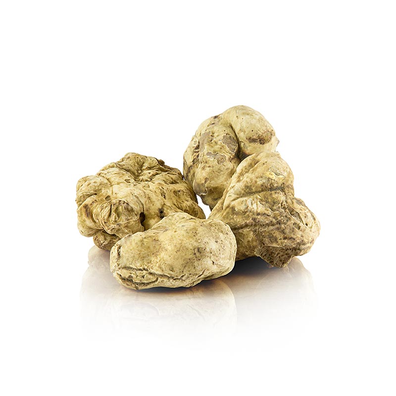 Weißer Trüffel - tuber magnatum pico, Italien, Okt./Jan., per Gramm ...